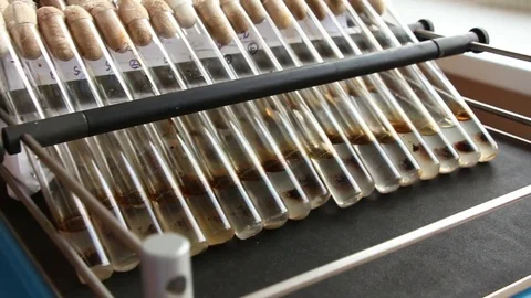 Oil degrading bacteria eats crude oil in experiment Stock Footage 73078462