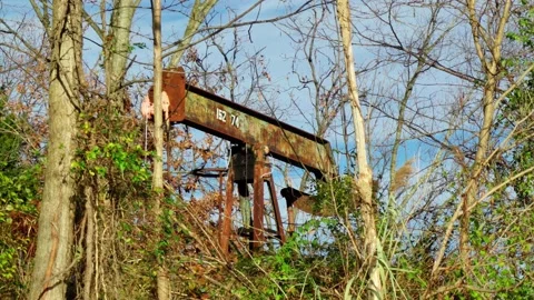 Oil Derrick Pump Partially Obscured by Nature Stockbeeldmateriaal 172268280