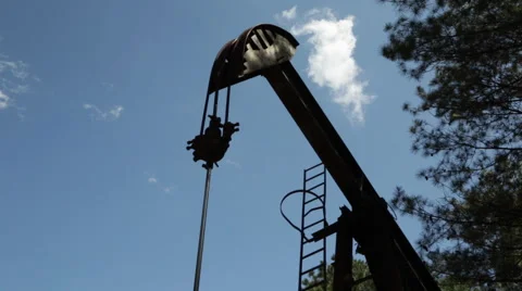 Oil Donkey in the Forest Vídeos de archivo 49645121