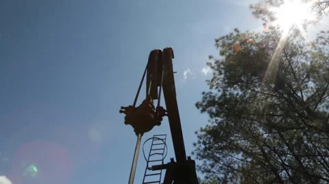 Oil Donkey in the Forest Vídeos de archivo 49645123