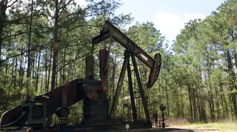 Oil Donkey in the Forest Vídeos de archivo 49645135