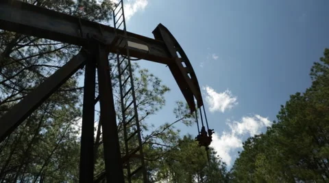 Oil Donkey in the Forest Vídeo Stock 49645136