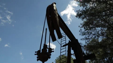 Oil Donkey in the Forest Vídeo Stock 49645150