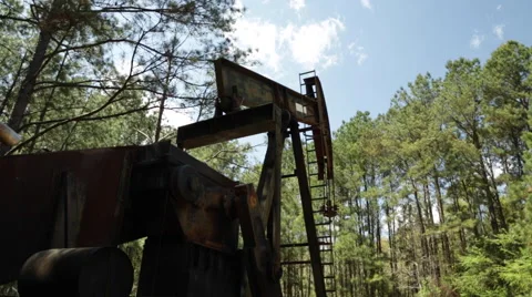 Oil Donkey in the Forest Vídeos de archivo 49645151