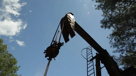 Oil Donkey in the Forest Vídeos de archivo 49645158