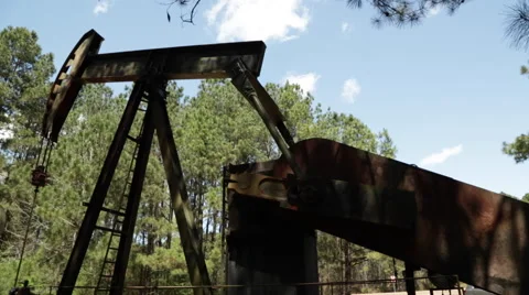 Oil Donkey in the Forest Vídeo Stock 49645164