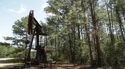 Oil Donkey in the Forest Vídeo Stock 49645167