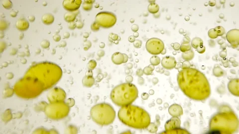 Oil drops background Stock-Footage 238445916