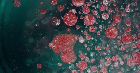 Oil drops Stock Footage 131199829