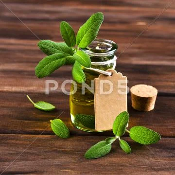 Oil with dry leaves of sage Stock Photos