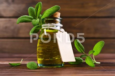 Oil with dry leaves of sage Stock Photos