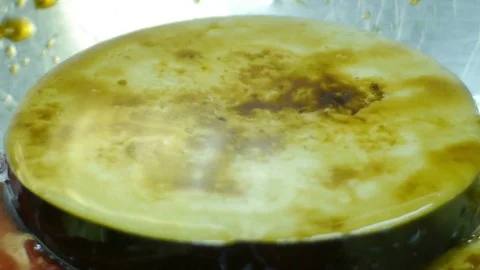 Oil Eggplant Stock Footage 78594736