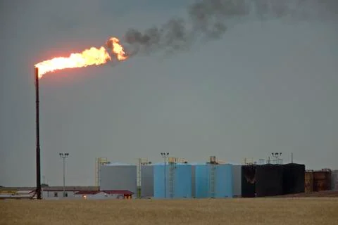 Oil Field Stock Photos