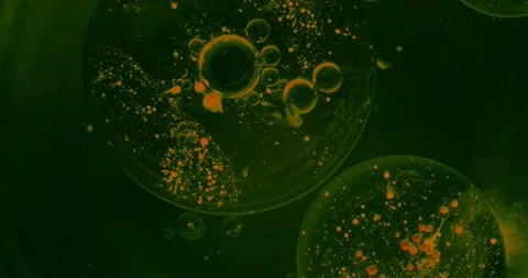 Oil Stock Footage 131199766