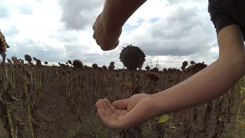 Oil on hand 스톡 동영상 94965576