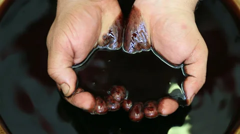 Oil Industry Stock Footage 34983836