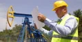 Oil Industry Inspector Examining Project Control Document Check Plan Expertise 4k or 4k+ Resolution