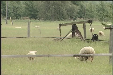 Oil jerkline 06 Stock Footage