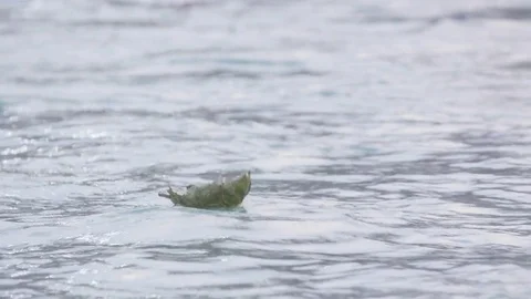 Oil lamp on a small leaf is floating into the Ganga Stock Footage 77454669