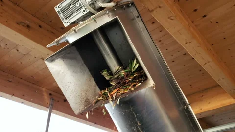 Oil mill defoliation machine process,olives rolling motion,italian extra virgin Stock Footage 152423965