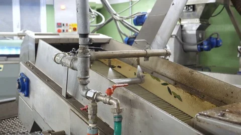 Oil mill - Process of production of extra virgin olive Stock Footage 83295345