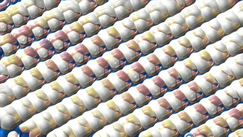 Oil paint Stock Footage 162396201