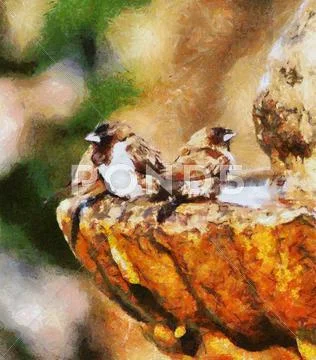 Oil painting mossies afternoon bath Stock Illustration