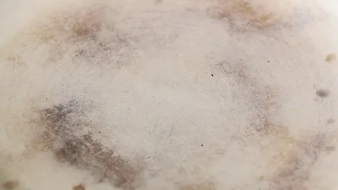 Oil on pan Video stock 77046408