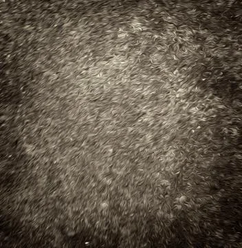 Oil panted texture as a background Stock Photos