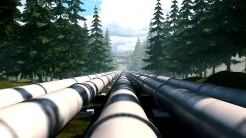 Oil pipeline through pine forest Stock Footage 128581563