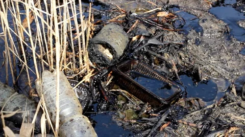 Oil pollution Stock Footage 1429482
