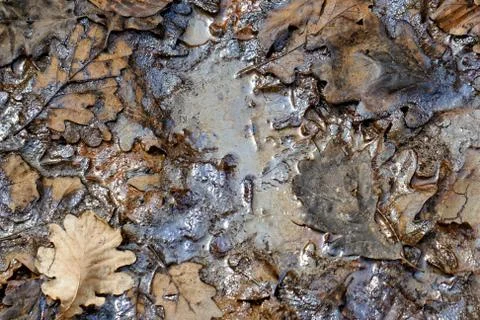 Oil pollution Stock Photos