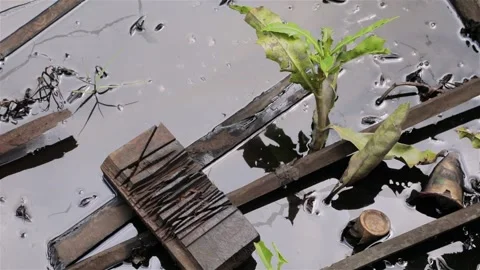 Oil Pollution on The River Stock Footage 162281513