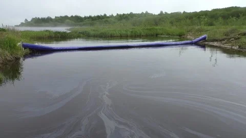 Oil pollution in the water. Video stock 165910952