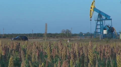 Oil Pump, Day Stock-Footage 8581221