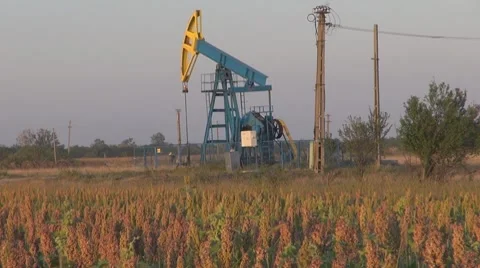 Oil Pump, Day Vidéo 8582196