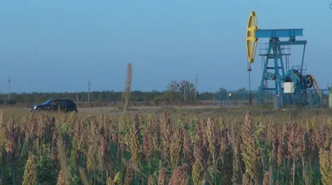 Oil Pump, Day Vídeos de archivo 8582243