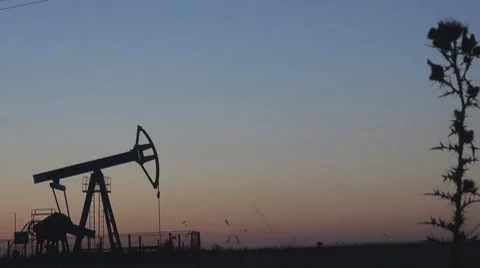 Oil Pump Vidéo 8599200
