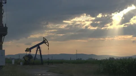 Oil Pump Vidéo 11521075