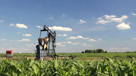 Oil Pump Jack in a Corn Field Stock Footage 34638818