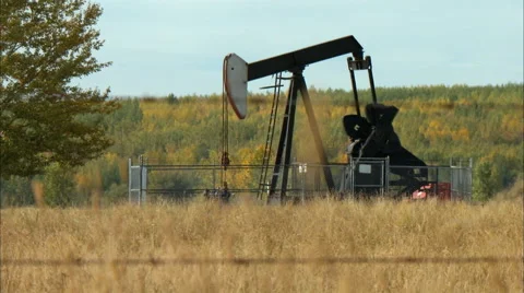 Oil pump jack in a field. Stock Footage 59839470