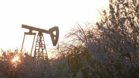 Oil Pump Jack Silhouette Behind Blooming Spring Trees at Sunset Stock Footage 332979479