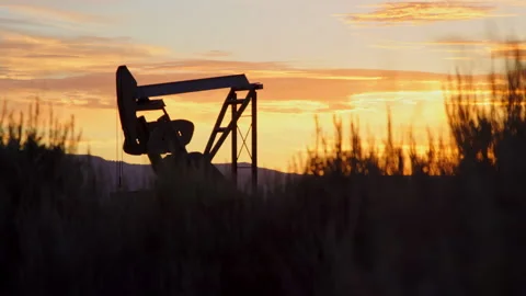 Oil pump operating at dawn, revealed from behind tall grass, slow motion 库存影片 202201733