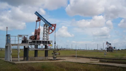 Oil Pumpjacks Operating in a Field Under a Cloudy Sky Stock Footage 313802327