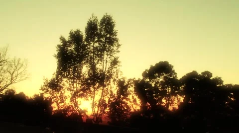 Oil Pumps 動画素材 4803009