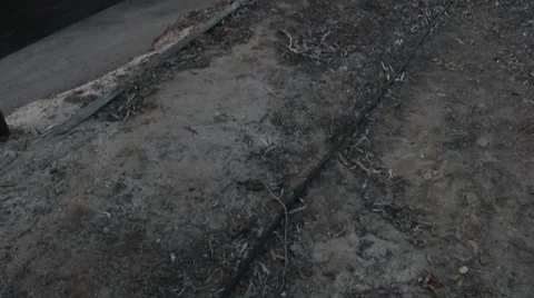 Oil Pumps 動画素材 4877893