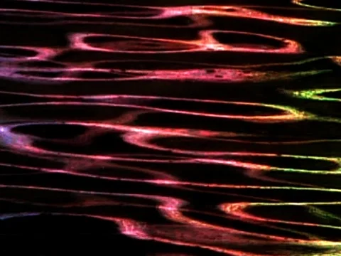 Oil Rainbow Stock Footage 489952