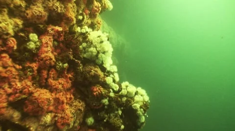 Oil Rig Diving clip04 스톡 동영상 41390031