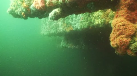 Oil Rig Diving clip05 Video stock 41390126