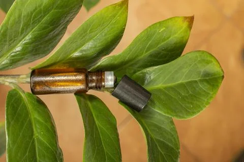 Oil roll on Foto stock